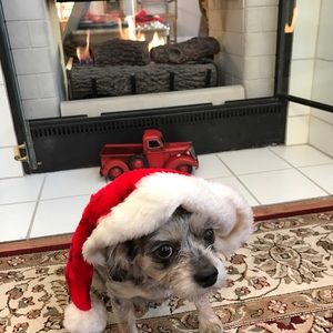 Meet your Posher, Janet